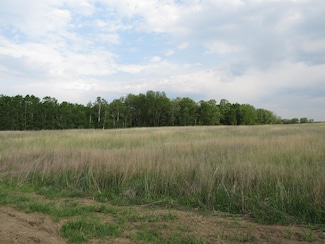 TBD 12th Parcel 9 SW, Backus, MN 56435