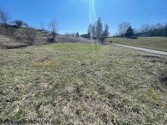 TBD Montgomery Ln, Masontown, WV 26542