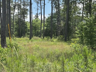 008, Brookeland, TX 75931