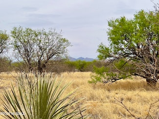 00 Yucca Ash Farm Rd, Sonoita, AZ 85637