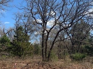 773 Blackjack Rd, Valley View, TX 76272