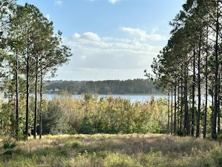 16744 Artimino Loop, Bella Collina, FL 34756