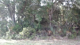 901 Blossom Dr, Sebastian, FL 32958