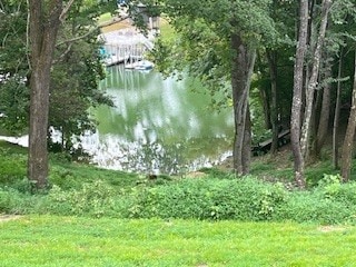 0 Cline Ridge Rd Unit RTC2969476, Winchester, TN 37398