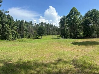 12371 Mcnair Rd, Roxie, MS 39661