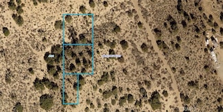 0 195th E Unit SR24061762, Llano, CA 93544