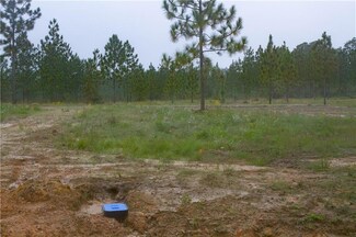 1179 Bel Fire Tower Rd, Reeves, LA 70658