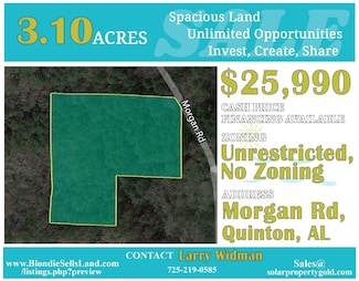 0 Morgan Rd, Dora, AL 35130