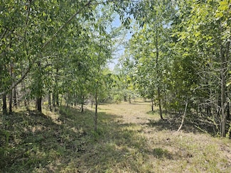 0 Ross Creek Ridge, Clifton, TN 38425