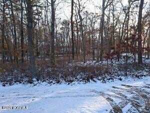 1031 W Bay Ave, Barnegat Township, NJ 08005