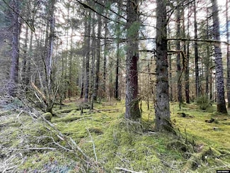 0 Legal Address Only Unit Lot 8, Block B, Pine, Port Alexander, AK 99836