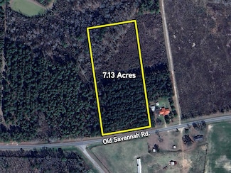 1857 B Old Savannah Rd, Midville, GA 30441