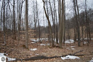 0 Swamp Rd Unit 1829769, Alden, MI 49612