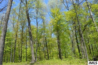0 Town Rd Unit 21037491, Parma, MI 49269