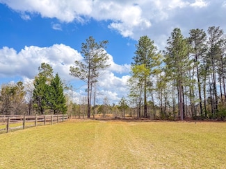 Tbd Pleasant Hill Rd Lot Unit WP001, Dillon, SC 29536