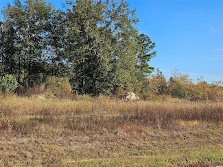 8026 Road 5891, Cleveland, TX 77327