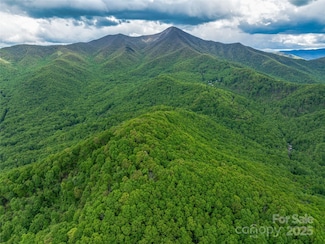59 Pisgah Mountain Trail, Candler, NC 28715