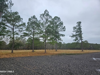 6 Lacy Love Ct, Ridgeland, SC 29936