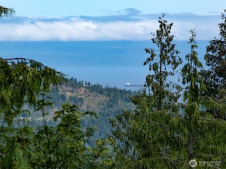 262 Break View Rd, Port Angeles, WA 98363