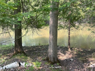 24920 E Riverside Dr, Hillman, MI 49746