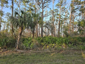12522 Ranch Ave, Port Charlotte, FL 33953