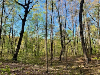 2312 Little Bend Rd, Signal Mountain, TN 37377