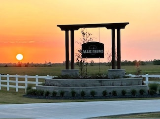 Lot 17 Allie Ln, Dayton, TX 77535