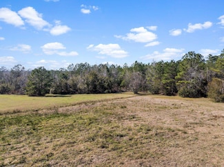402 Mistletoe Ln, Monticello, FL 32344