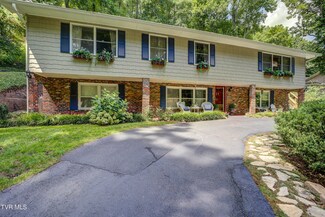 1309 Lester Harris Rd, Johnson City, TN 37601