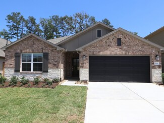 17343 Silver Birch Ct, New Caney, TX 77357