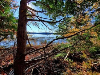 0 Blackcat Point Dr, Princeton, ME 04668