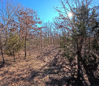 Tract S Greatview Ln, Spring Hollow Township, MO 65536