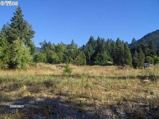 48372 Roaring Rapids Way, Oakridge, OR 97463