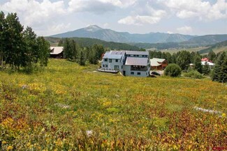 21 Anthracite Dr, Crested Butte, CO 81225
