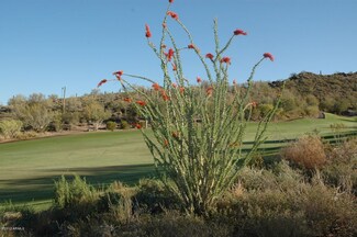 39406 N Sunset Vista Dr Unit 2, Morristown, AZ 85342