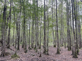 0 Western Front Rd, Gu-Win, AL 35563