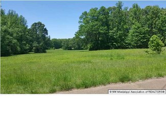 21 Scattered Oaks Dr, Byhalia, MS 38611
