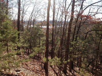 Lots 36 & 37 Country Club Dr, Garfield, AR 72732