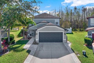 3204 Herne Bay Ct, Land O Lakes, FL 34638