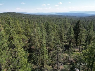 0 Sandpiper Dr Unit 3007715, Beatty, OR 97621