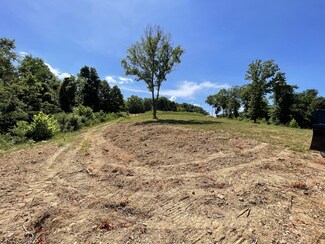 0 Bellwood Landing Rd, Indian Mound, TN 37079