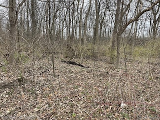 0 Ford Rd Unit 20240020273, Canton, MI 48187