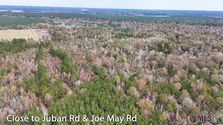 TBD Joe May Rd, Denham Springs, LA 70726