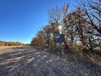 TBDx 150th St, Verndale, MN 56481