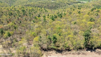 LOT 2 Patton Hill Rd, Greenwood Township, PA 17846