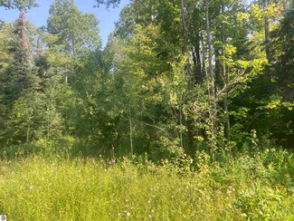 0 County Line Rd Unit 1924937, Nisula, MI 49952