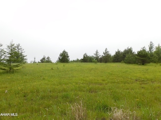 0 Skyline Dr, Blandburg, PA 16619