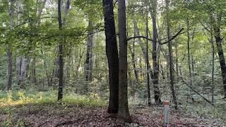 5565 Romeyn Woods Unit Lot 2, Middleville, MI 49333