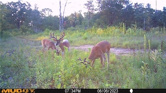 000 Arkansas 41, Cecil, AR 72930