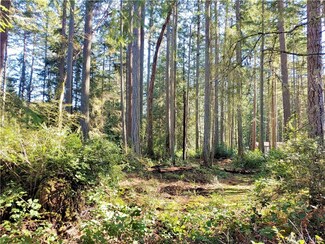 12216 Wapato Rd, Anderson Island, WA 98303